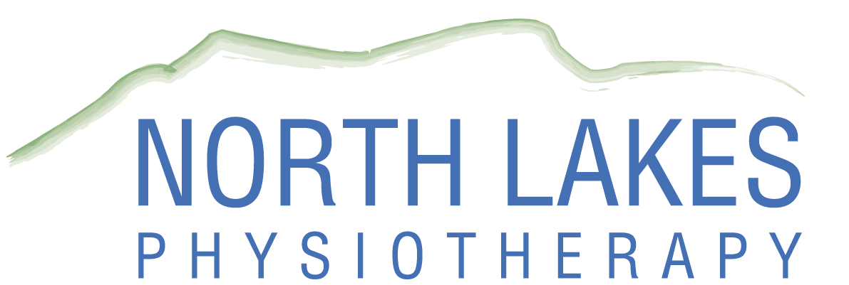 northlakesphysio.com